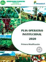 Plan Operativo Institucional 2020